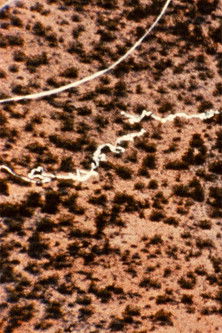 Skyworks: Multiple Mile Drop