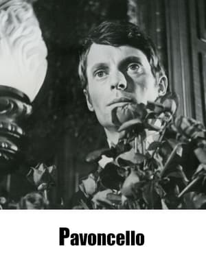 Poster Pavoncello (1967)