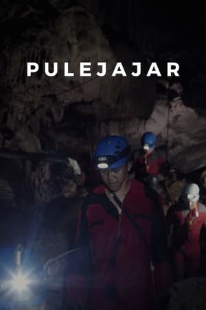 Image Pulejajar