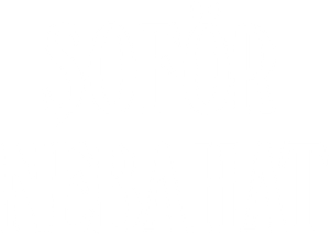 Şoför Nebahat