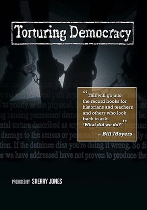 Poster Torturing Democracy (2009)