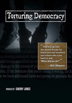 Poster Torturing Democracy 2009