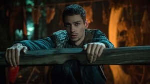 The 100 3×11
