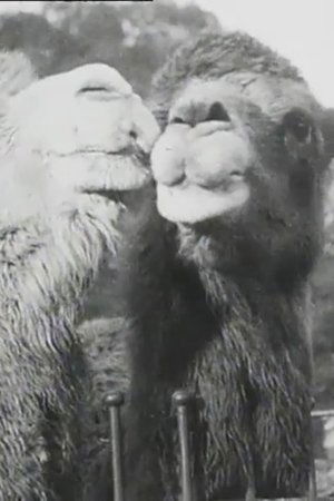 Our Advice This Festive Season