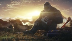 Images posters