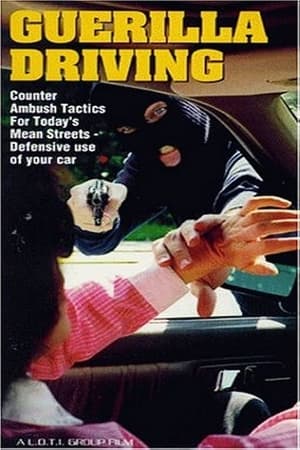 Poster Guerilla Driving (1994)