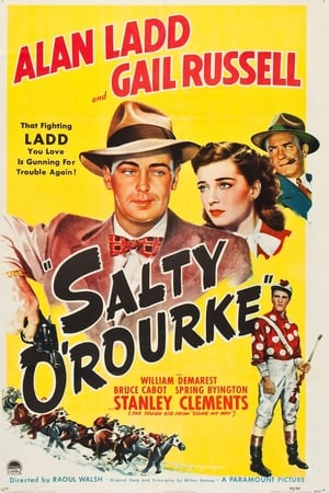 Salty O'Rourke poster