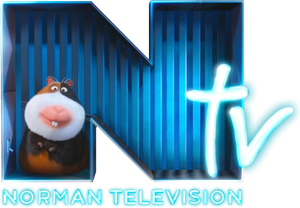 Norman Television — Logos 2