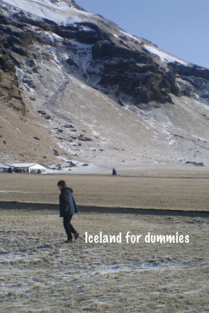 Iceland for Dummies (2026)