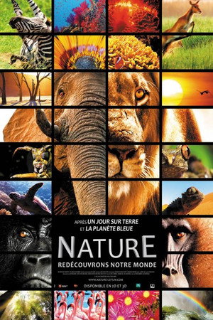 Nature (2014)