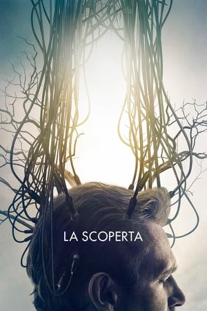 La scoperta 2017