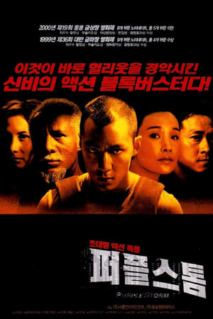 퍼플 스톰 1999