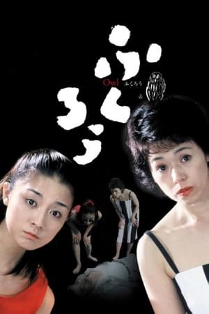 Poster 猫头鹰 2003