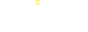 Ditadores: O Livro de Regras — Logos 4