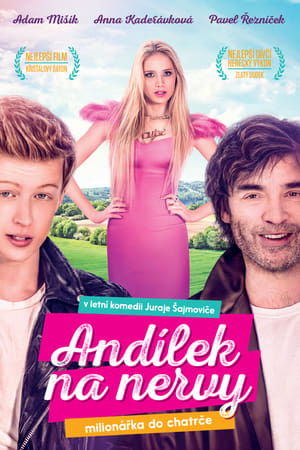 Poster Andílek na nervy 2015