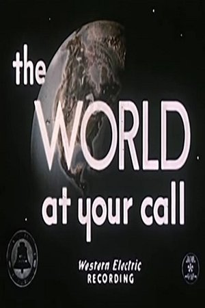 Póster oficial de la película The World At Your Call
