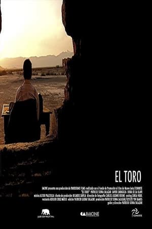 Poster El toro (2007)
