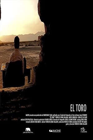 Poster El toro (2007)