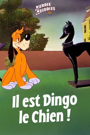 Image Il est dingo le chien