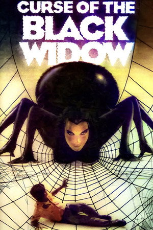 Curse of the Black Widow