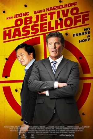 Poster Objetivo: Hasselhoff 2017