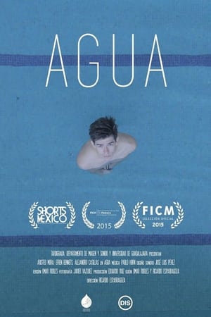 Poster Agua 2015