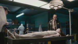 La morgue (2016) HD 1080p Latino