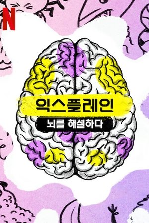 Image 익스플레인: 뇌를 해설하다