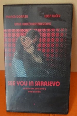 Poster Vidimo se u Sarajevu 2008