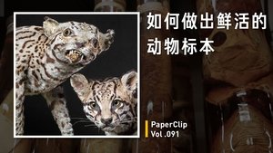 Episode 91