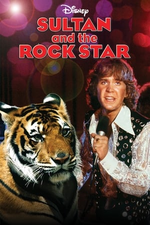 Poster Sultan and the Rock Star 1980