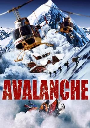 Poster Avalanche (2004)