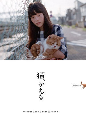Cat's Home 4