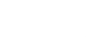 Pluto's Surprise Package — Logos 2