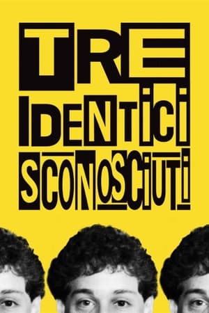 Poster Tre identici sconosciuti 2018