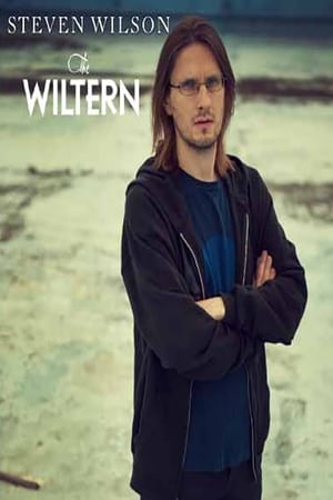 Steven Wilson Live at The Wiltern