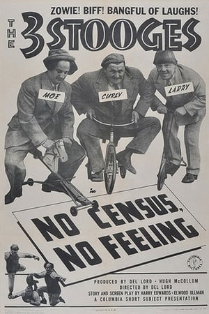 No Census, No Feeling poster