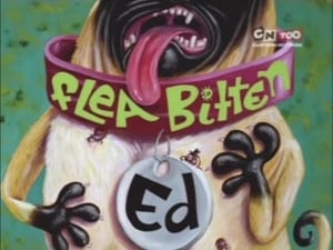 Ed, Edd n Eddy Flea-Bitten Ed