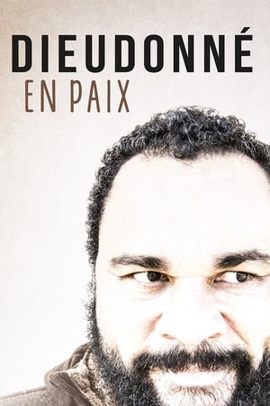 Dieudonné - En paix poster