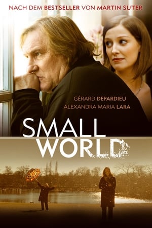 Poster Small World 2010