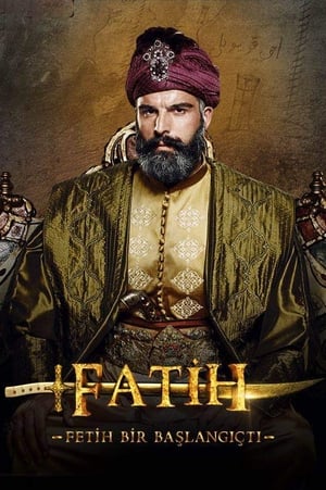 Poster Fatih 2013