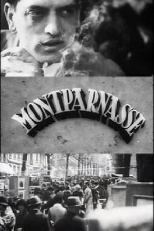 Poster Montparnasse (1929)