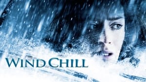 Wind Chill (2007)
