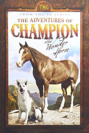 Poster The Adventures of Champion Säsong 1 Avsnitt 11 1955