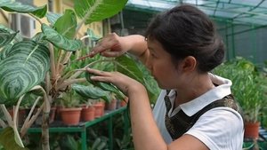 Episode 36 Indonesia Special