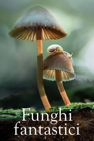 Poster Funghi fantastici 2019