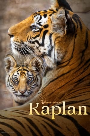 Kaplan 2024