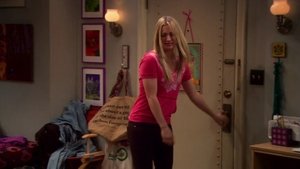 The Big Bang Theory 4 x Episodio 16