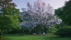 The Handmaiden 2016