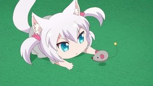 Nyanko Days: 1×6